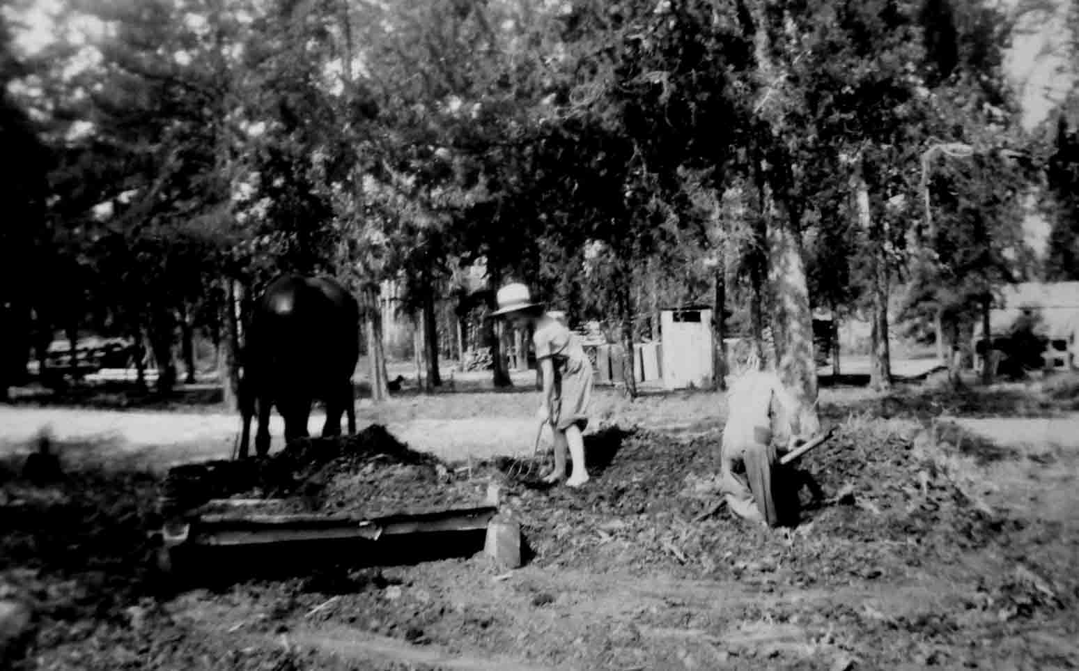 Louise and Harold Hauling Manure